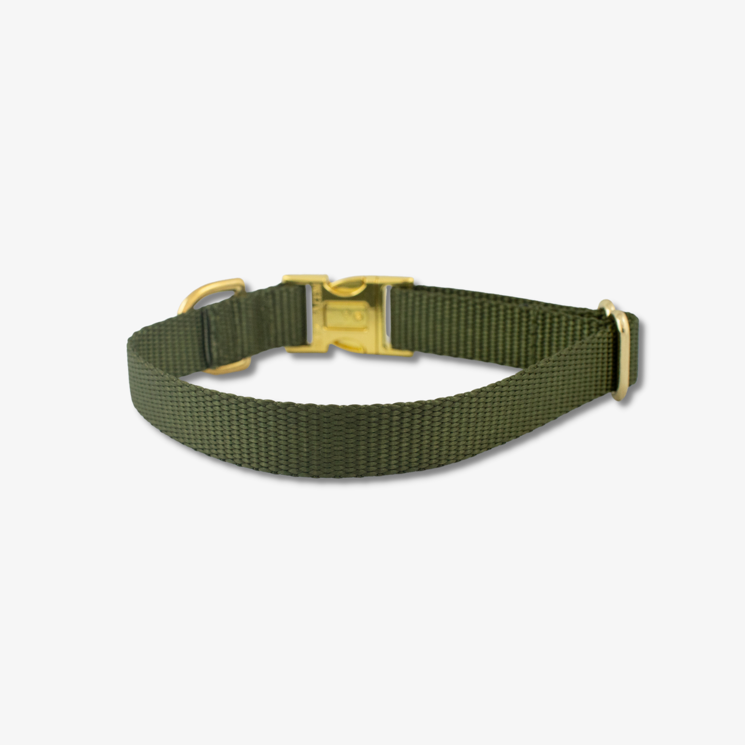 olive dog collar
