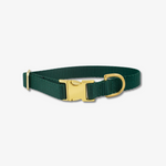 green dog collar with gold buckles