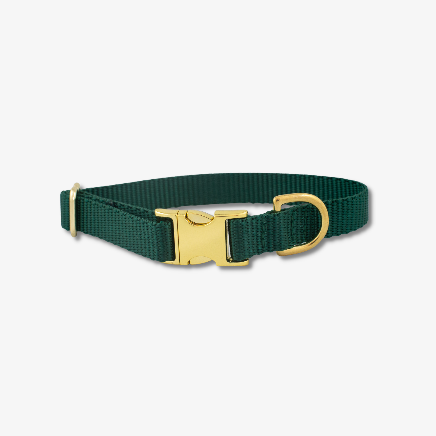 green dog collar with gold buckles