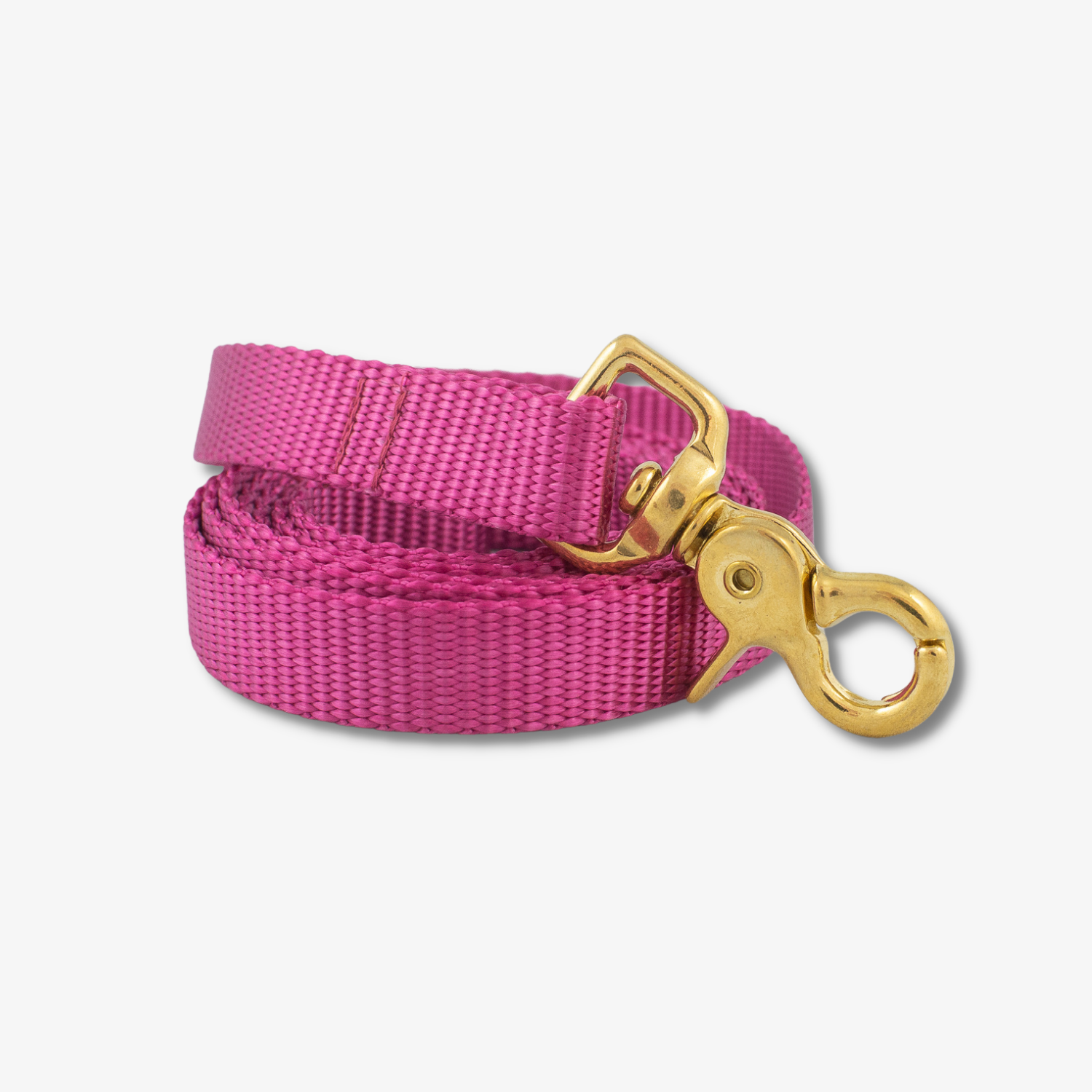 berry dog leash