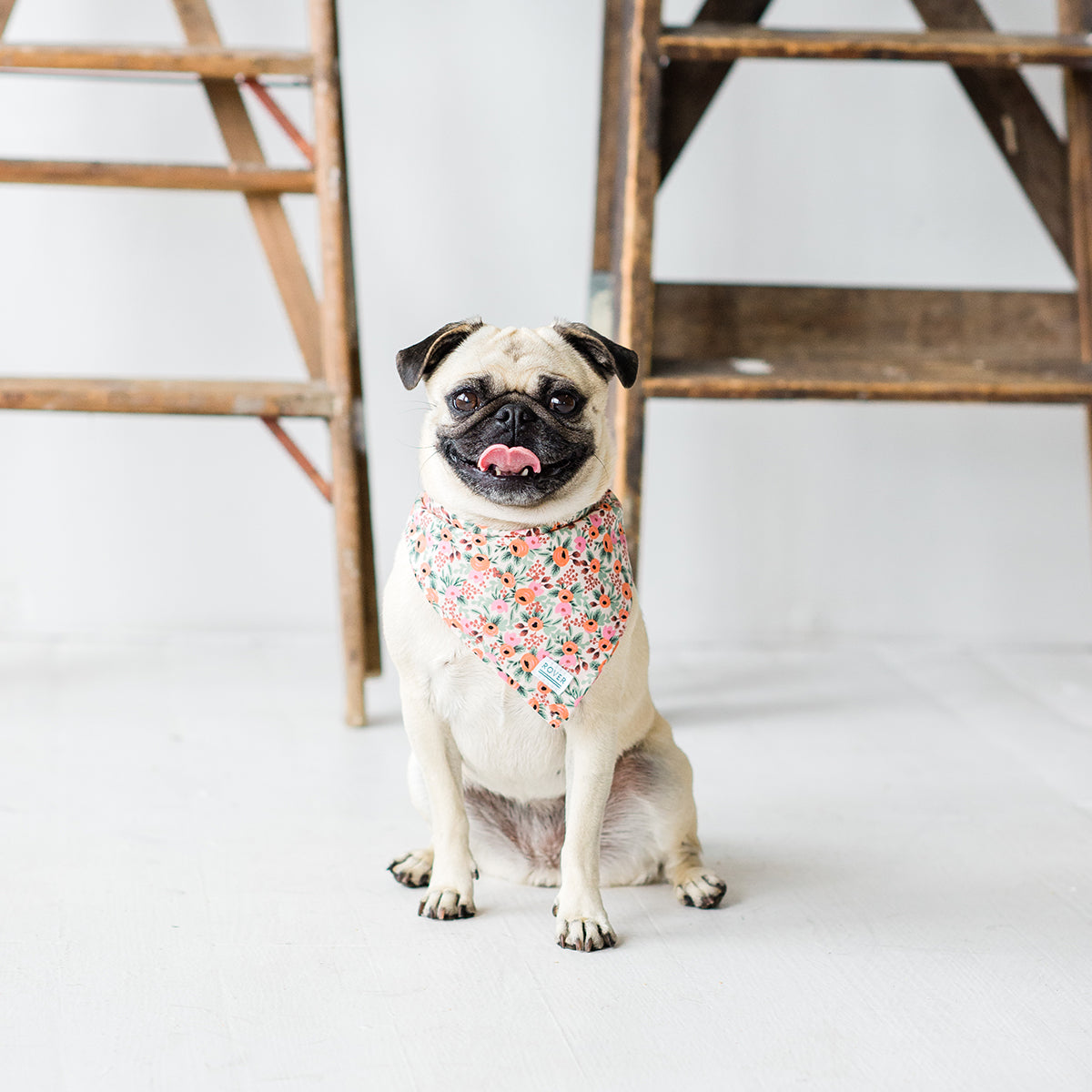 rifle paper co dog bandana