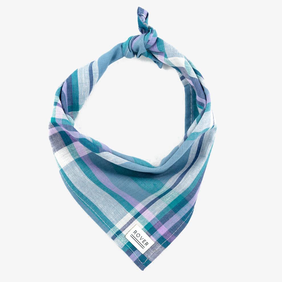 blue plaid dog bandana