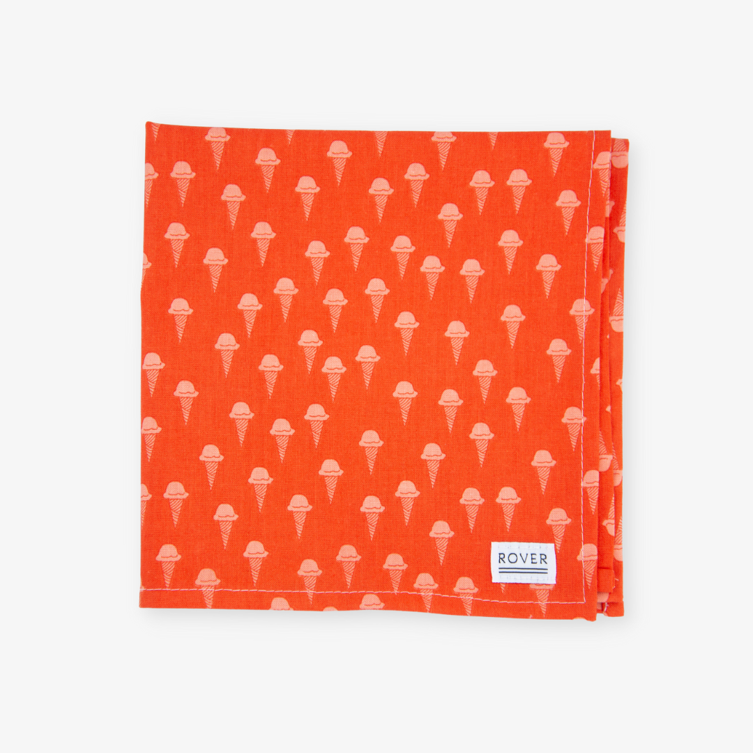 orange ice scream dog bandana