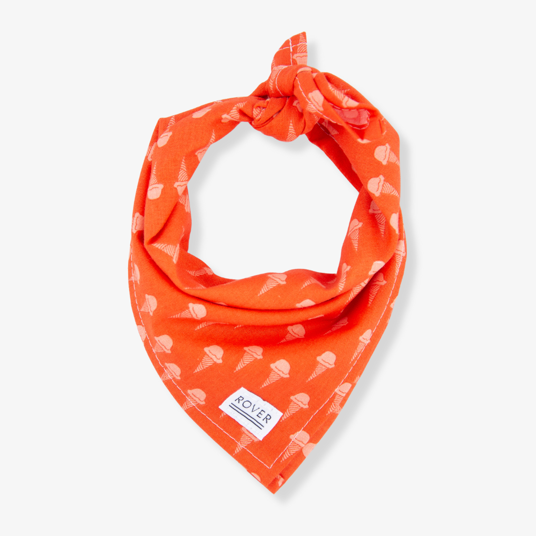 orange ice scream dog bandana