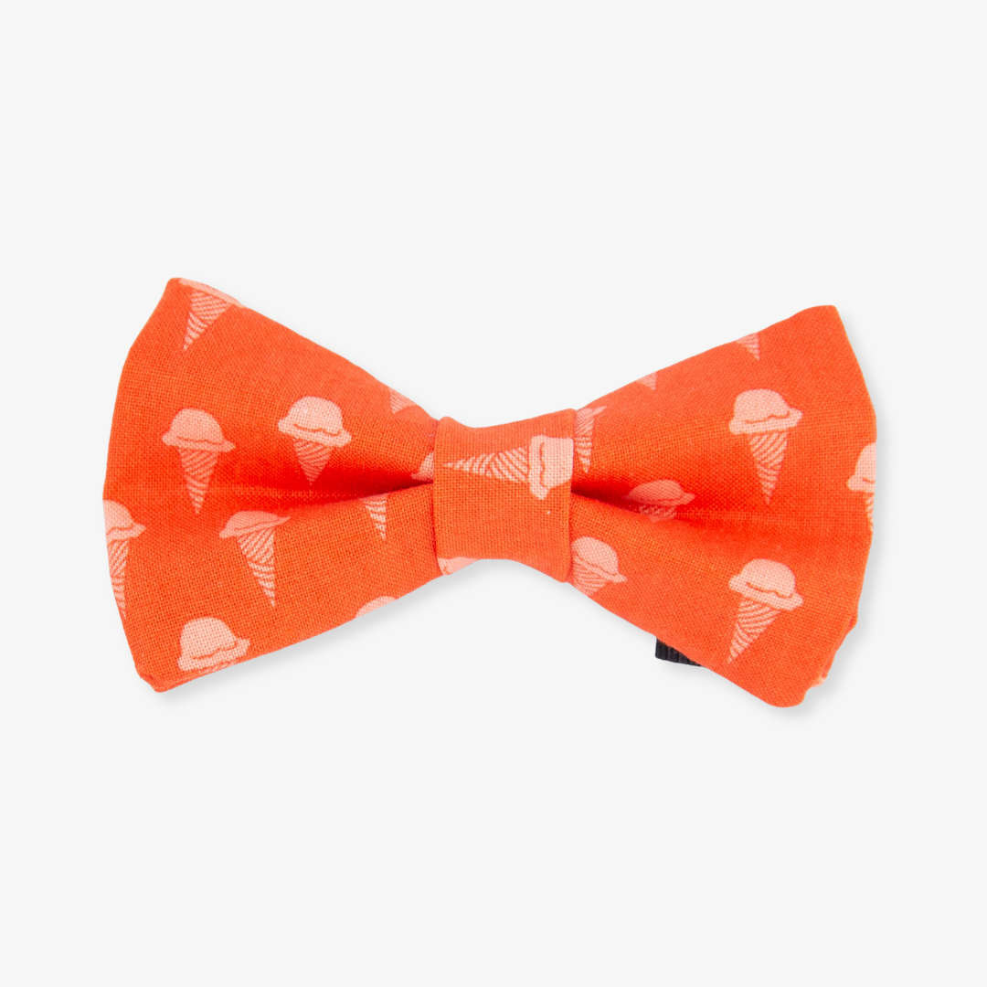 Cone Dog Bow Tie