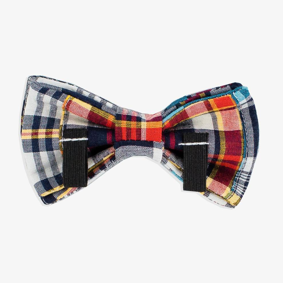 madras dog bow tie