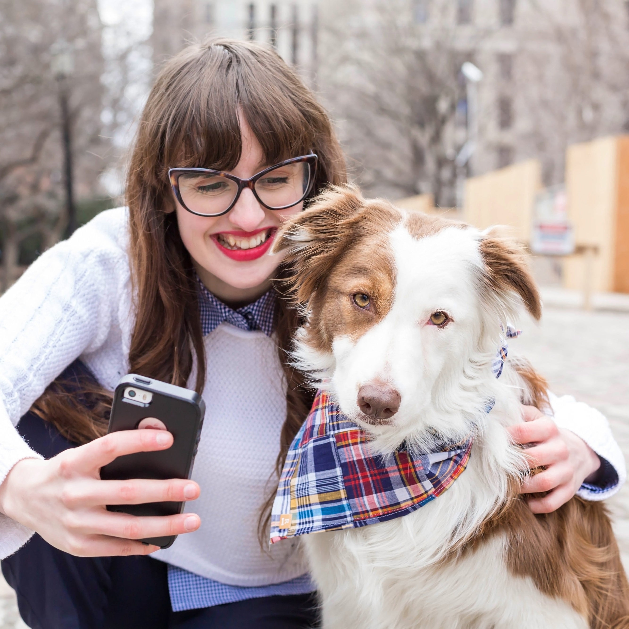 Dog Bandanas Madras