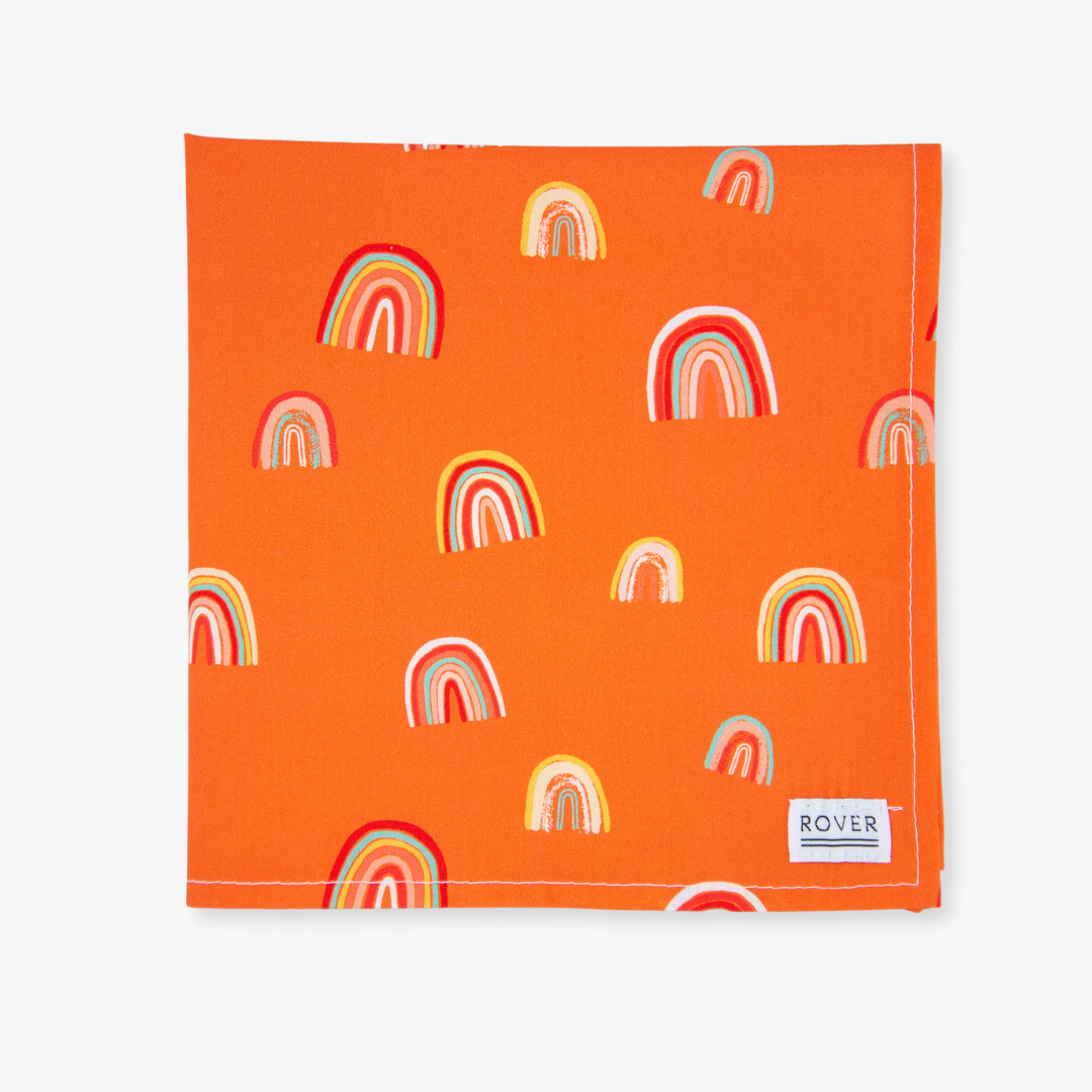rainbow dog bandana
