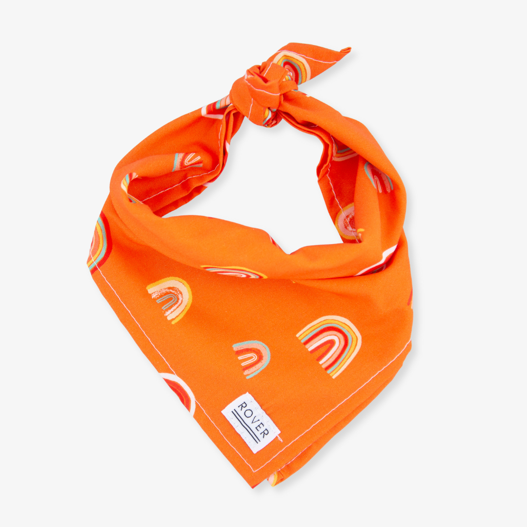 rainbow dog bandana