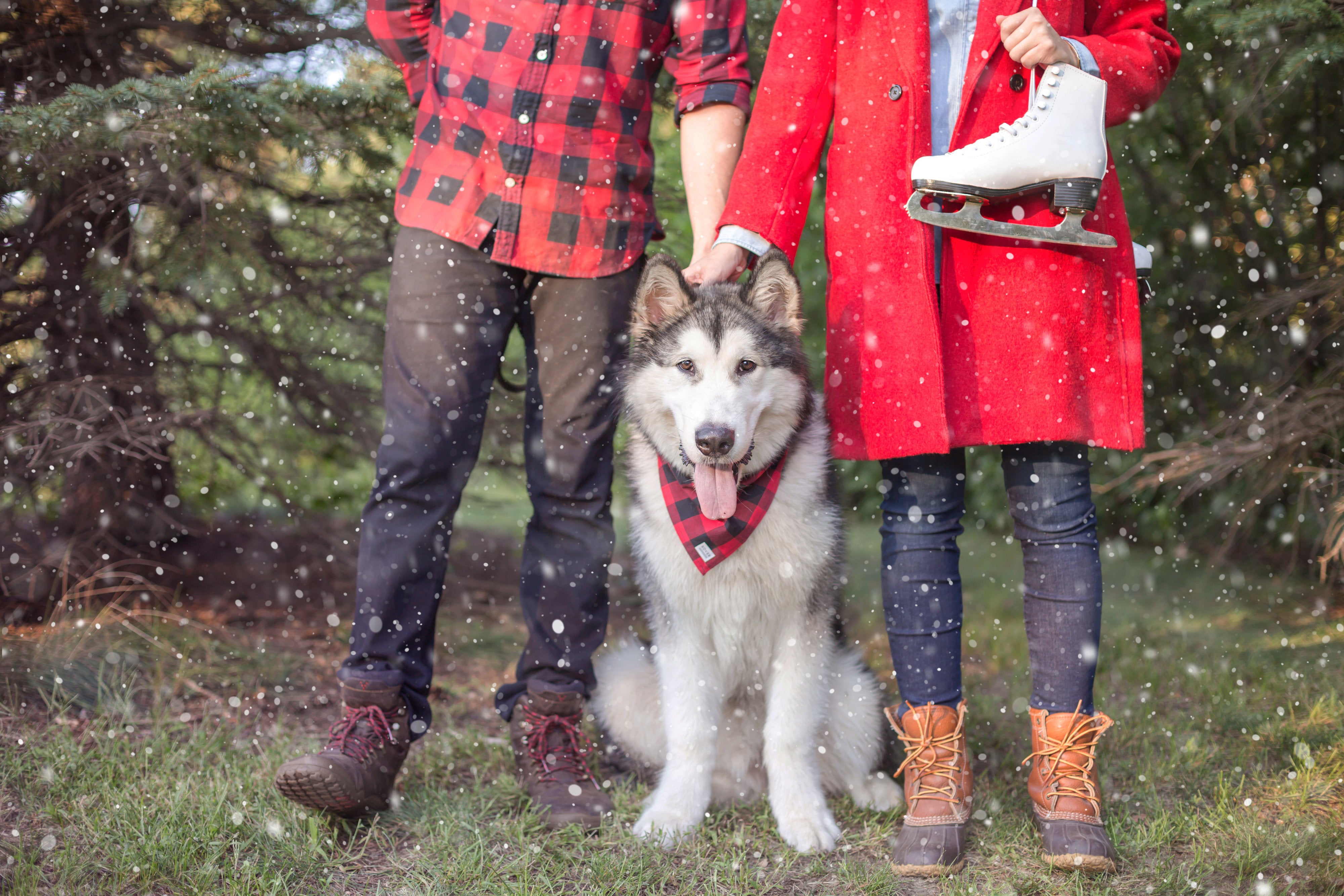 Holiday Lookbook