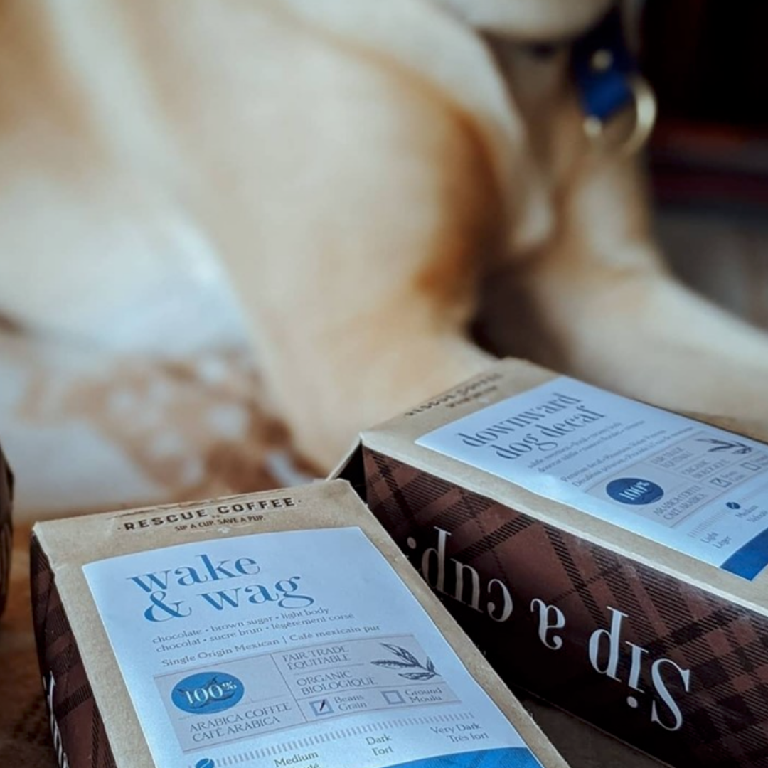 12 Days of Christmas: Gifts That Give Back
