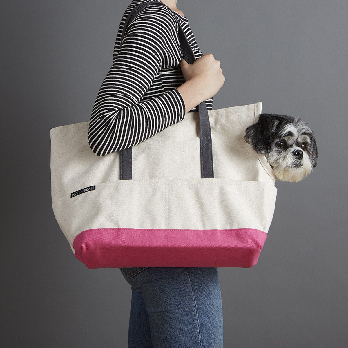 12 Days Of Christmas: Gifts for Puppies, Teenagers, and Senior Dogs!