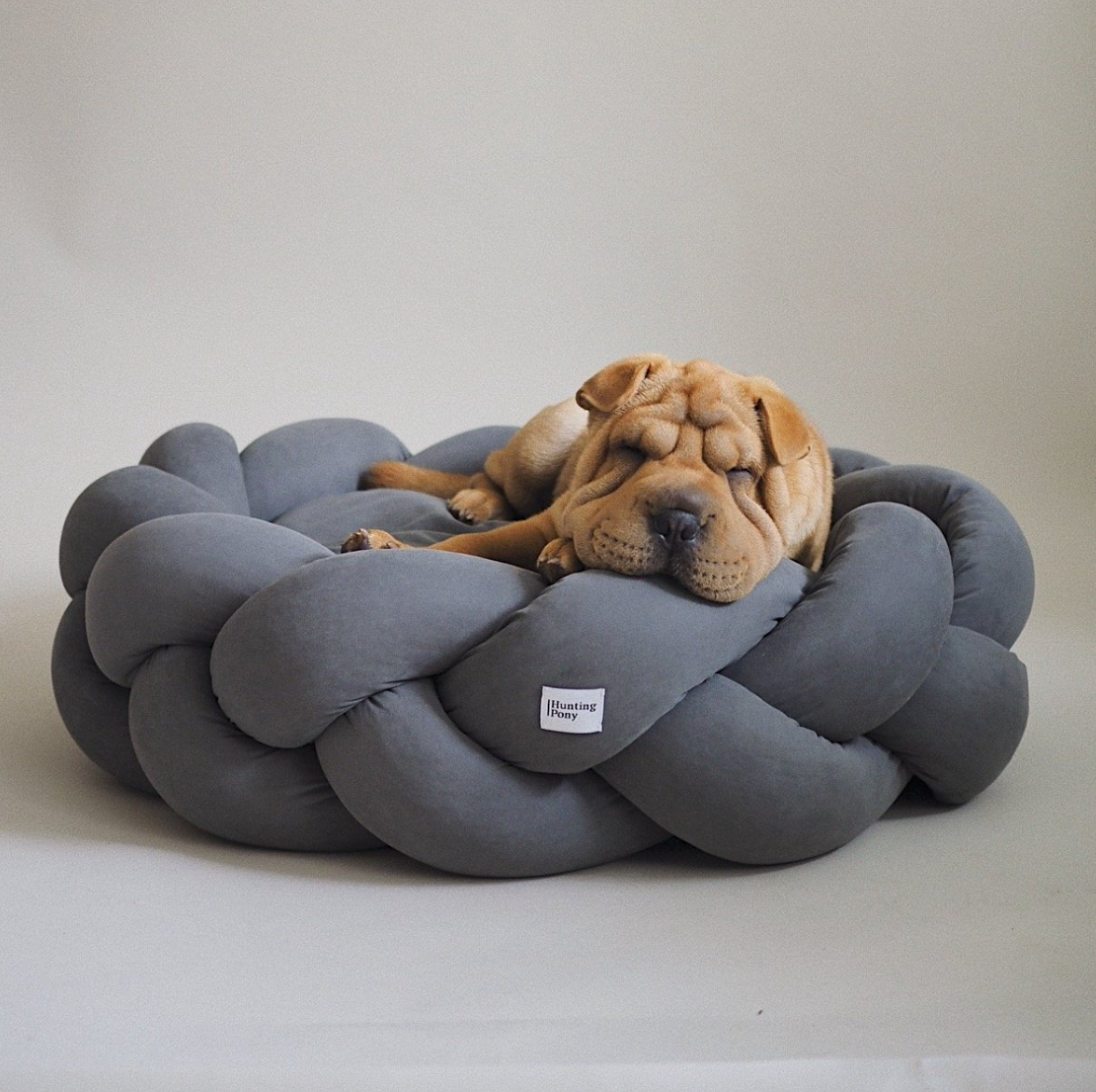 12 Days of Christmas: Gifts For The Dog That Has Everything