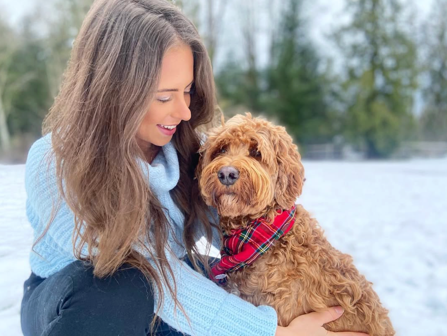 Best in Show: Meet Fitzgerald, an Australian Labradoodle from British Columbia