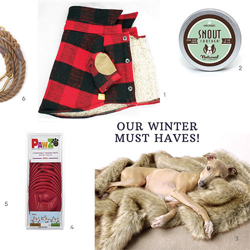 OUR WINTER MUST HAVES!