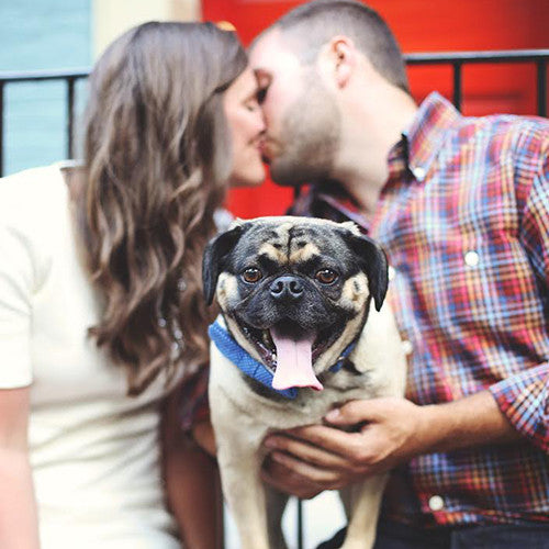 Dog Bow Tie Collar