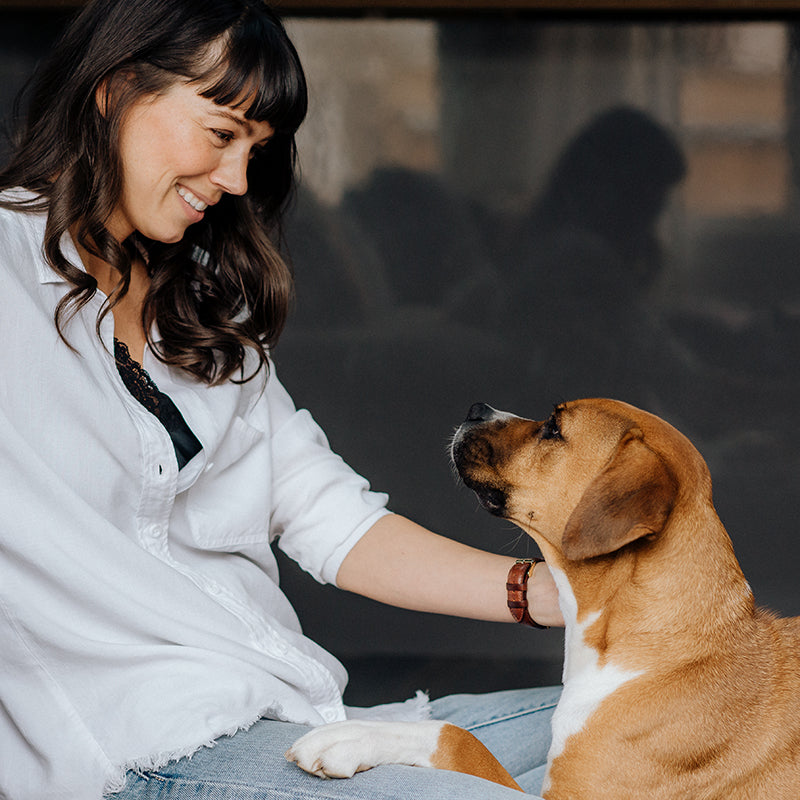 5 Ways To Ease Anxiety In Your Dog