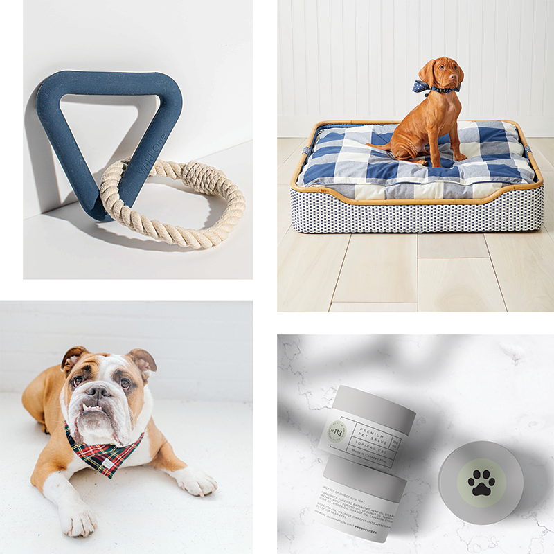 The Ultimate Gift Guide for Dogs & Dog Lovers