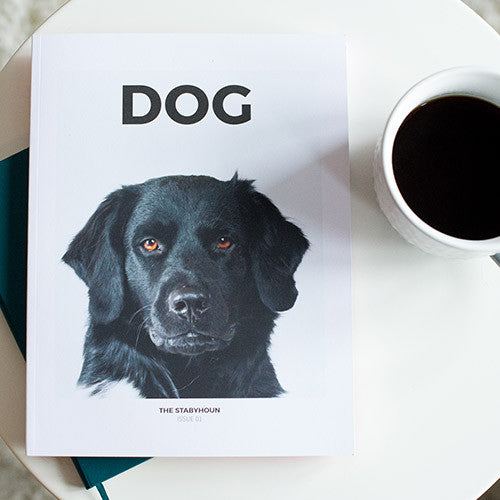 BOOK CLUB: DOG MAGAZINE ISSUE 01