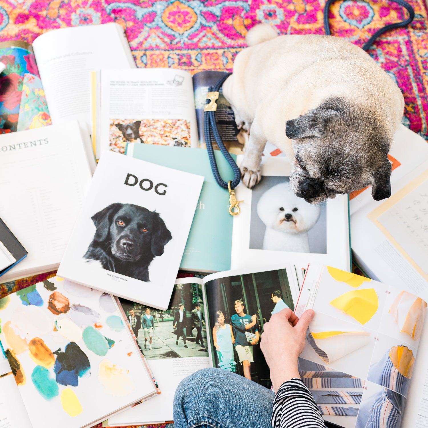 Spring Inspiration