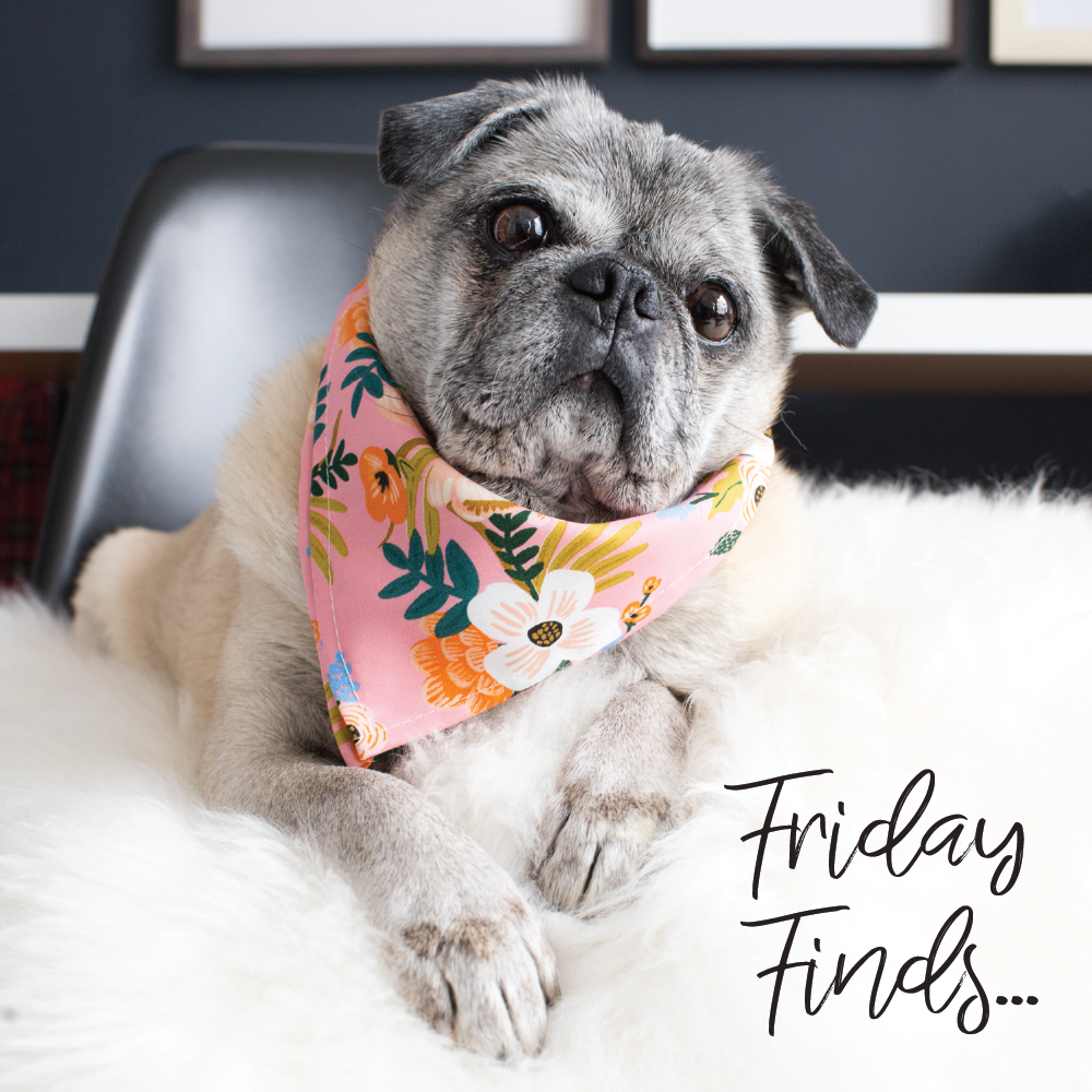 Friday Finds... Fabric, Photos + Shoes