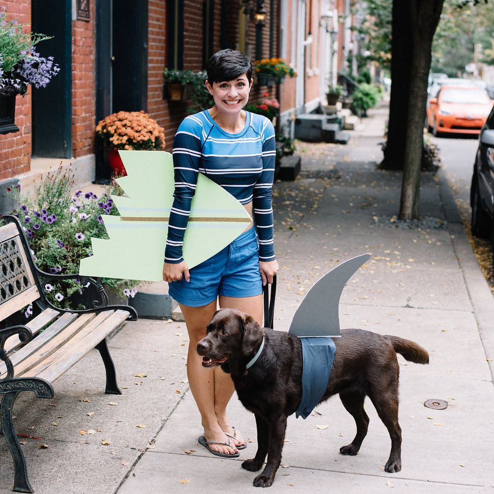 10 DIY Costume Ideas to Dress Up Your Dog This Halloween