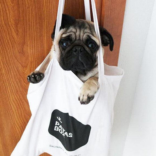 INSTA-DOGS: HOLY THE PUG