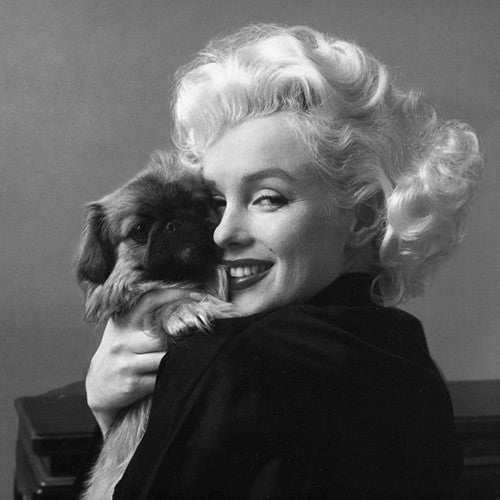 5 OLD HOLLYWOOD STARS & THEIR PUPS