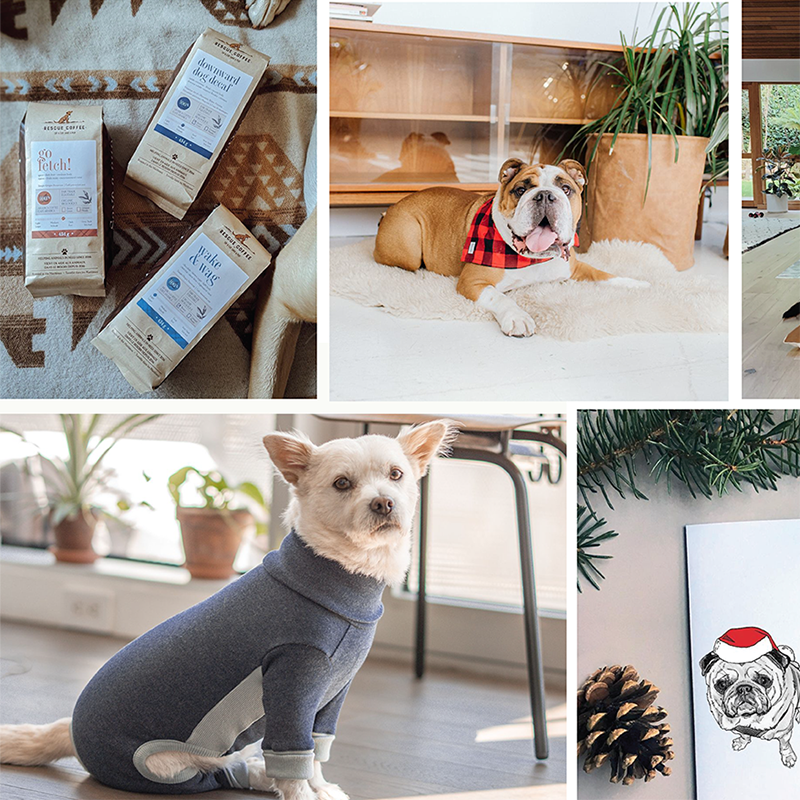 12 Days of Gifting For Dog Lovers...