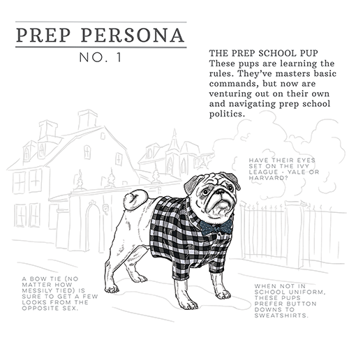 PREP PERSONA #1: PREP SCHOOL PUP