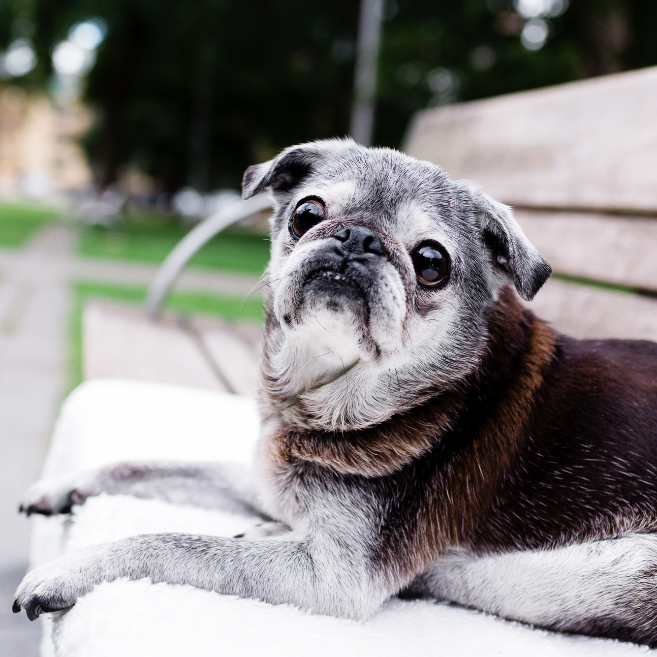 Suji + Must Have Fall Looks
