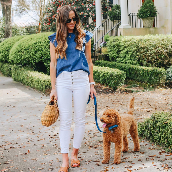 Dog Loving Bloggers