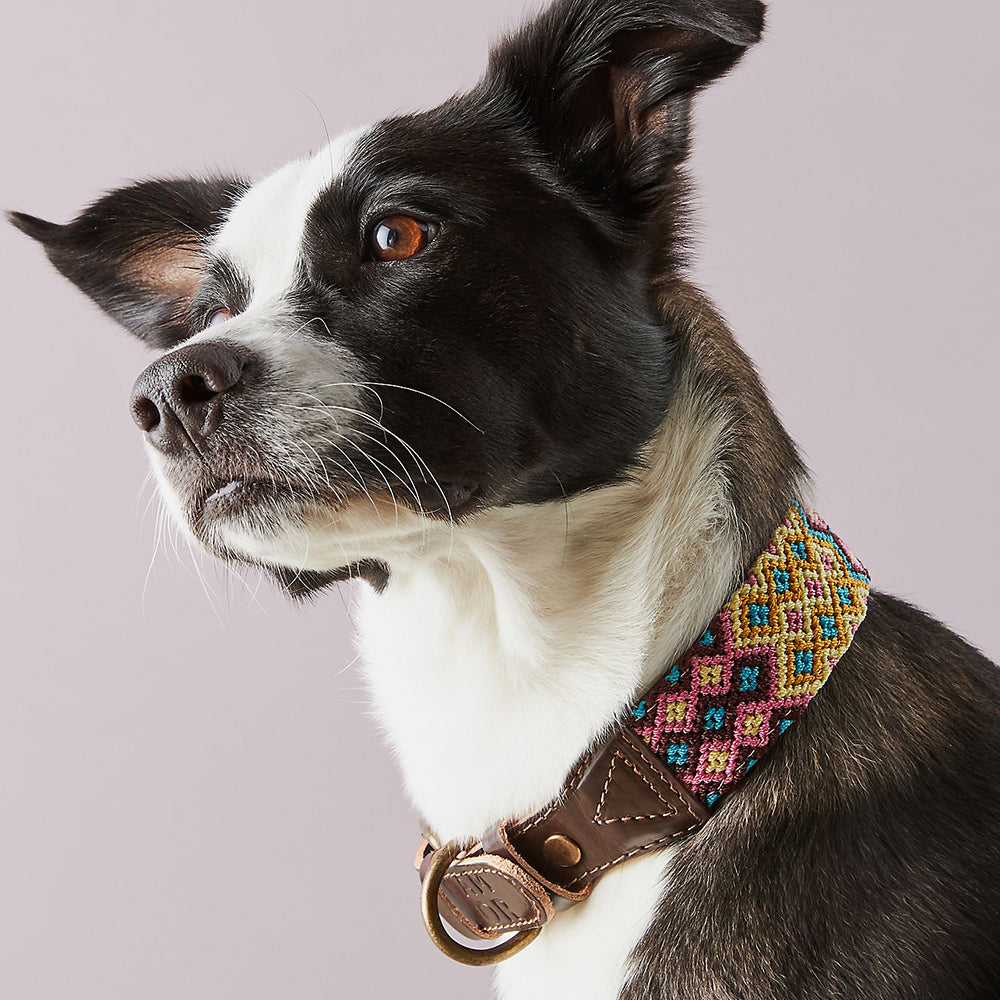 8 Cute Valentine's Day Gifts For You & Your Dog