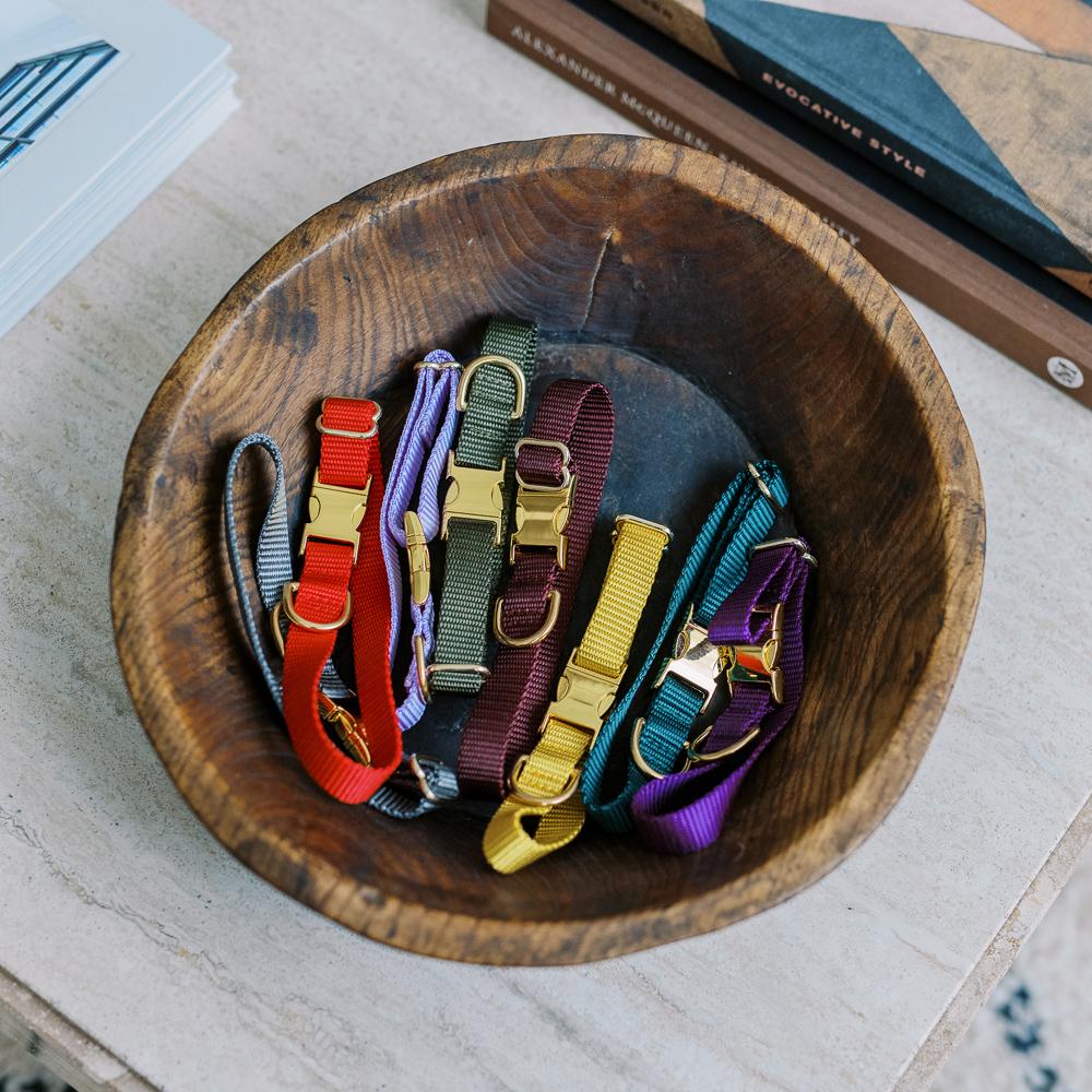 dog collars with gold buckles made in canada
