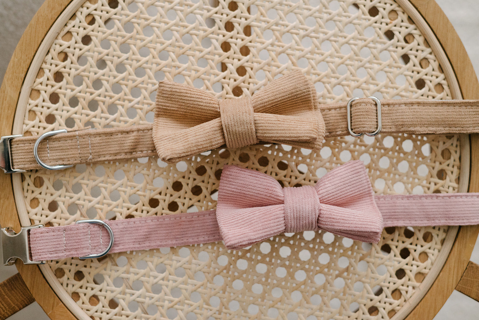 Printed Dog Collars