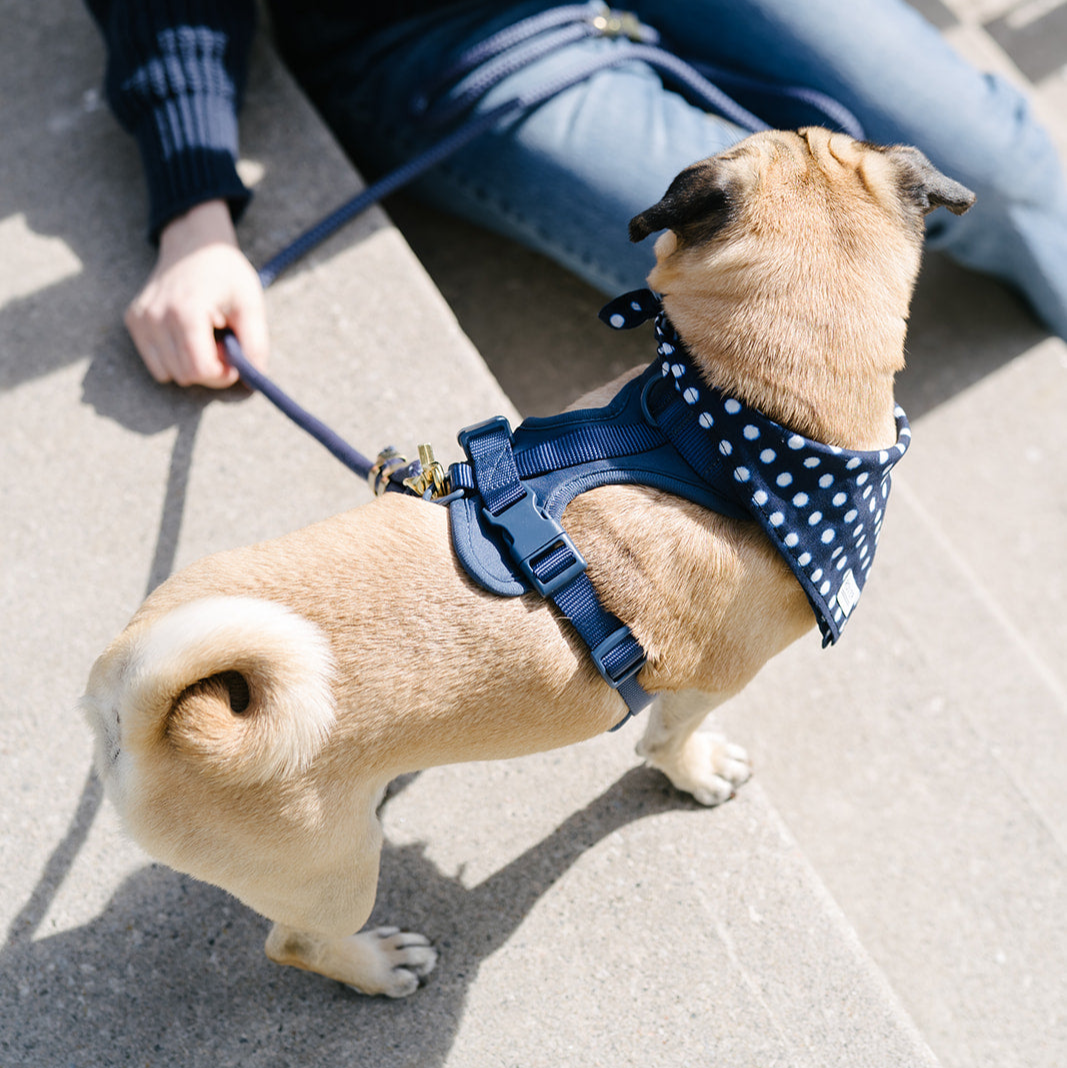 Harnesses