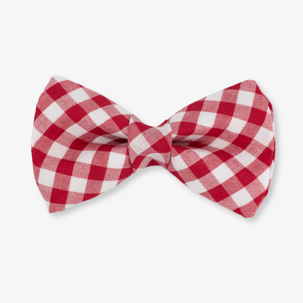 red gingham dog bow tie