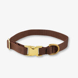 Brown dog collar with a gold buckle on a white background