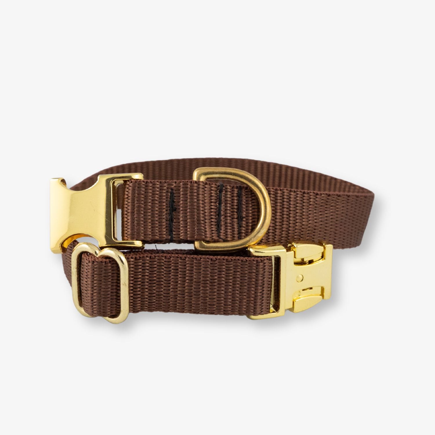 Brown dog collar with gold hardware on a white background