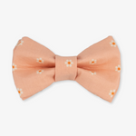 daisy bow tie