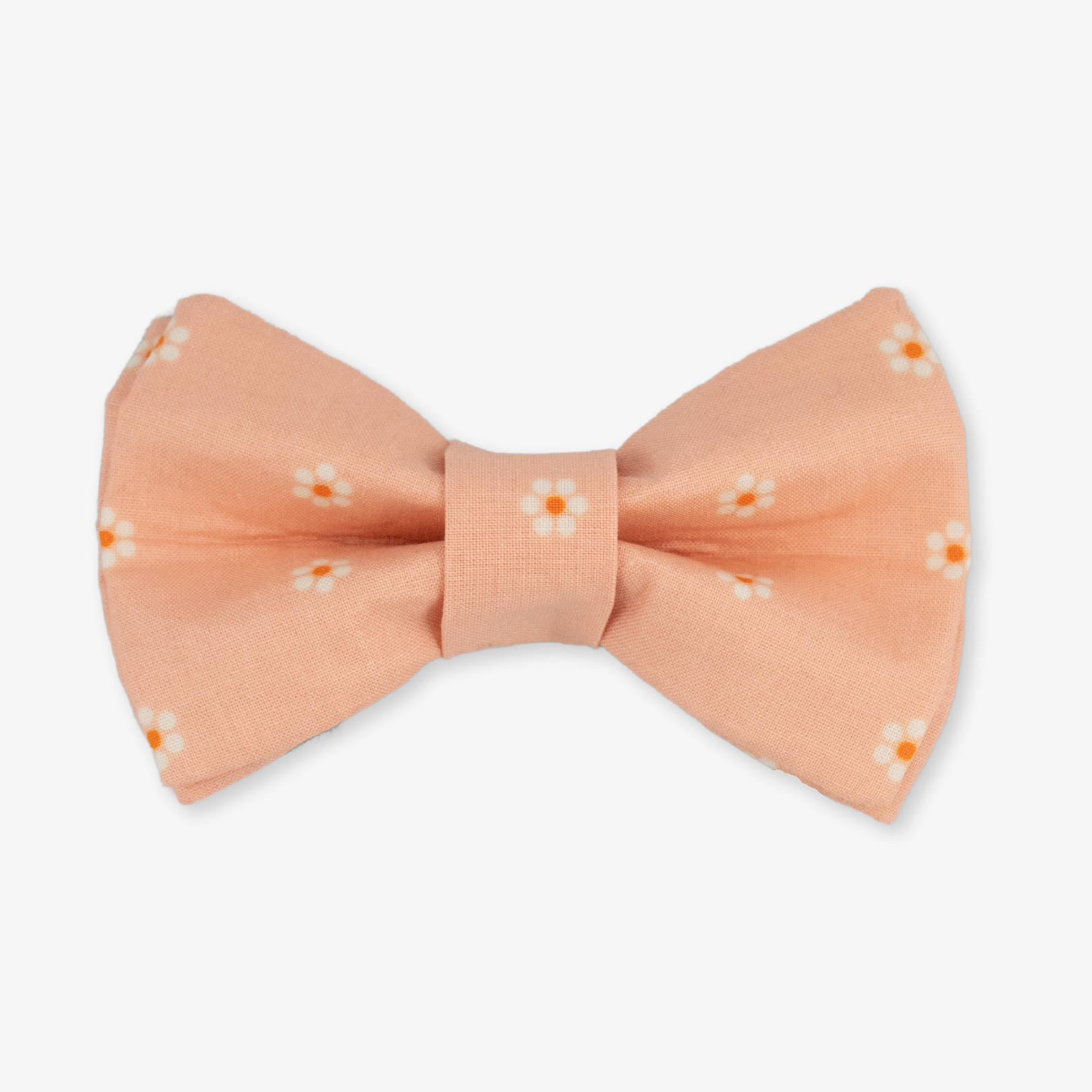 daisy bow tie