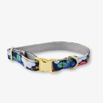 Floral-patterned dog collar with a gold buckle on a white background
