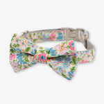 liberty of london dog collar