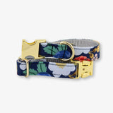 Floral-patterned dog collar with gold buckle on a white background
