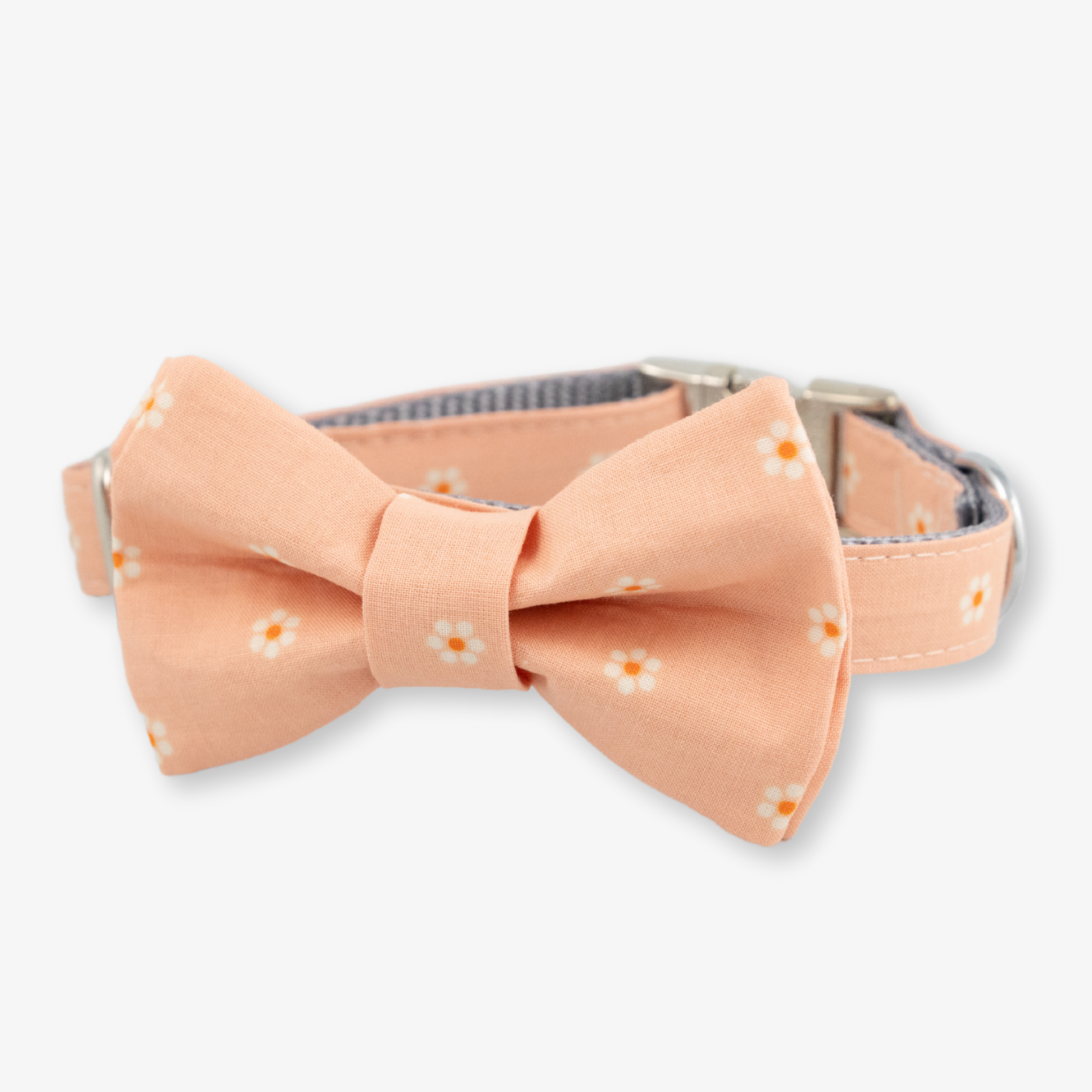 daisy bow tie dog collar