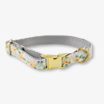 Floral-patterned dog collar with a gold buckle on a white background