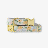 Floral-patterned dog collar with gold hardware on a white background