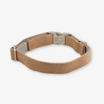 corduroy dog collar