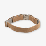 corduroy dog collar