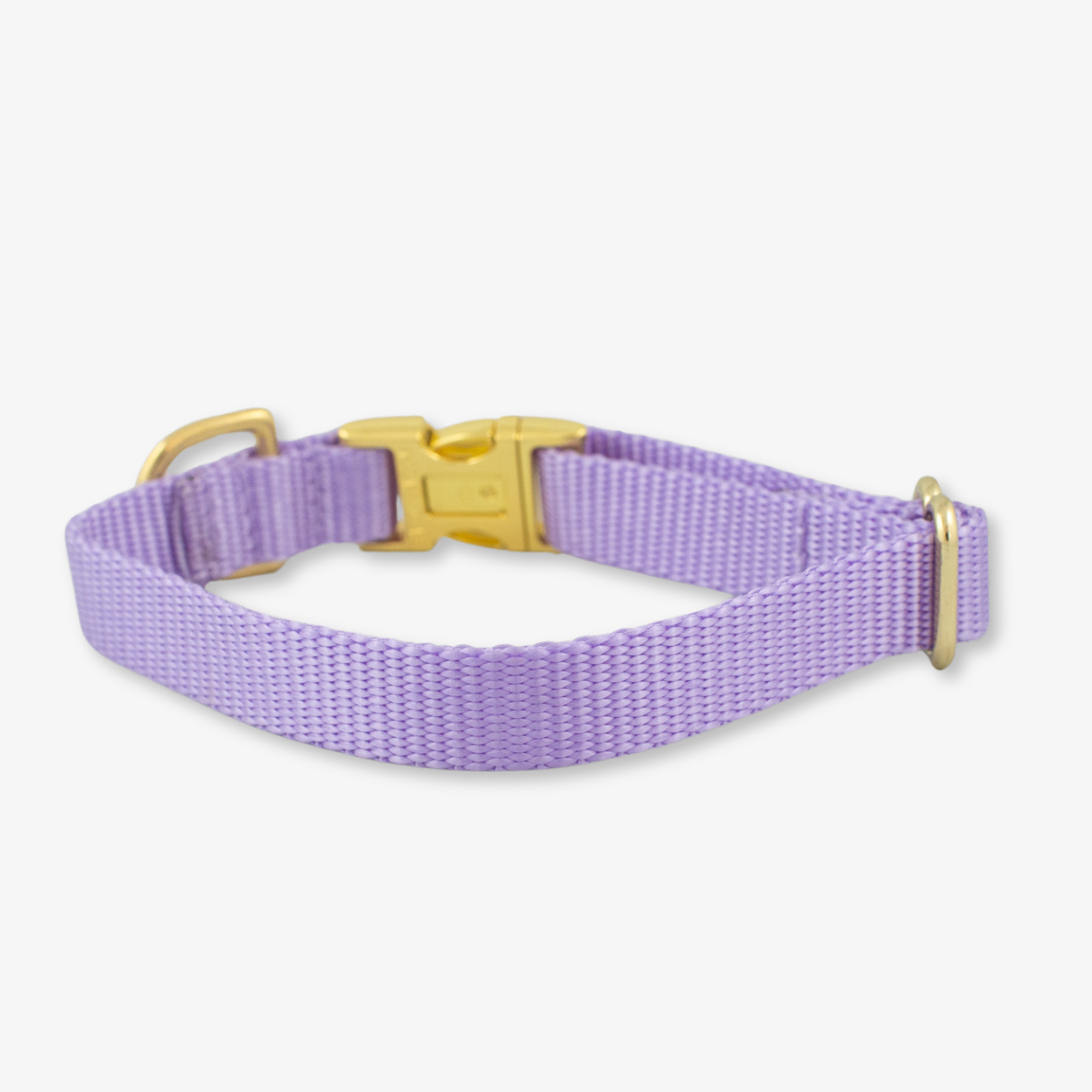 Lilac Dog Collar
